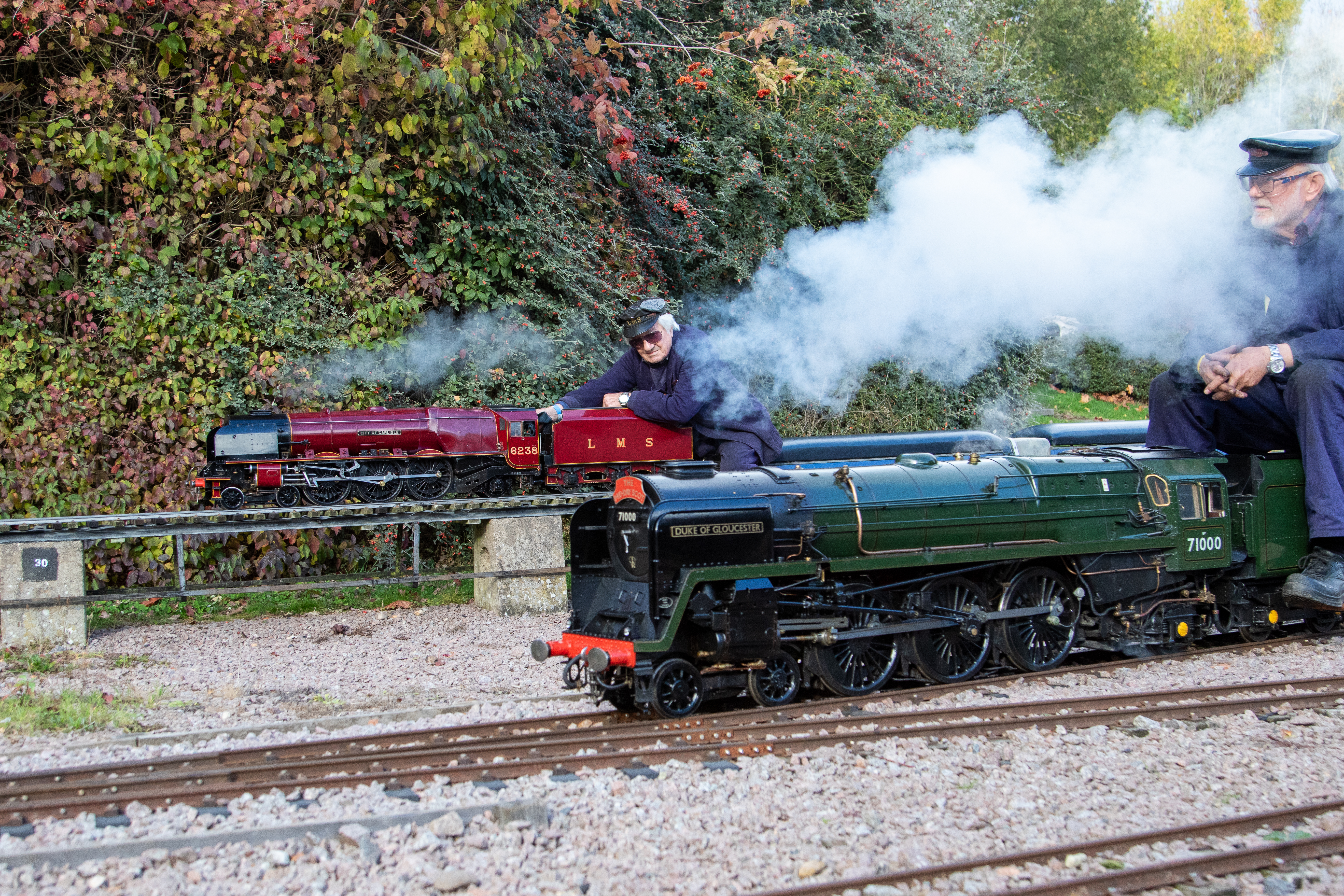 Miniature Railways